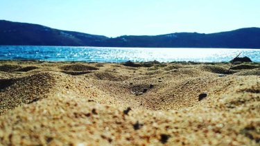 beach