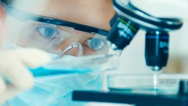 lab