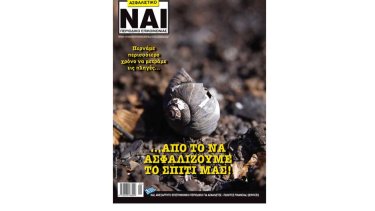 nai173