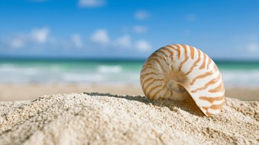 shutterstock_172557758