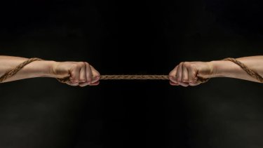 shutterstock_786625726