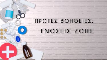 protes_voitheies_screenshot_2