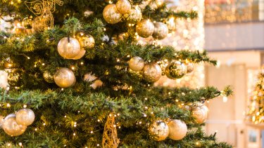 shutterstock_536241349