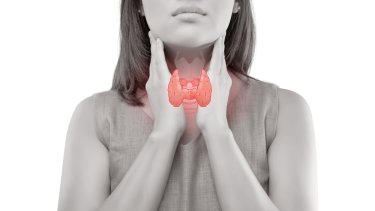 shutterstock_683224411