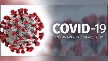 covid-19