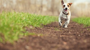 shutterstock_414622807