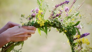 shutterstock_1009901902