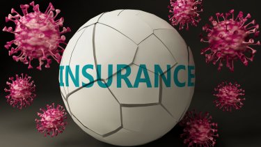 shutterstock_1731939325