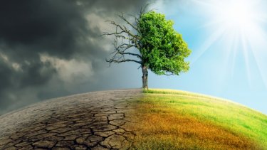 shutterstock_1269582256
