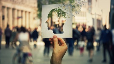 shutterstock_1221758086