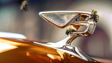 bentley_-_beyond100_-_9