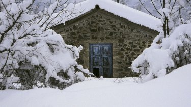 gardiki