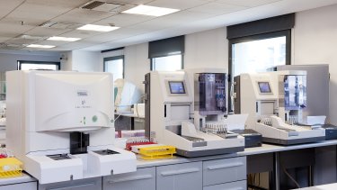 lab