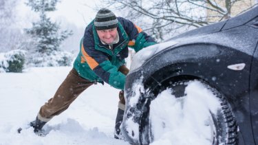 shutterstock_1179724318