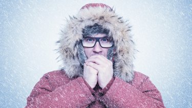 shutterstock_1197627034
