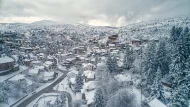 shutterstock_1248863647