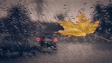 shutterstock_332070041