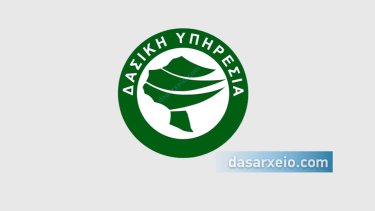 dasiki-ypiresia