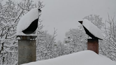 dsc_4566