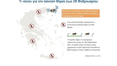 fek-me-ta-nea-metra-ti-ishyei-gia-to-kynigi-mehri-28-2