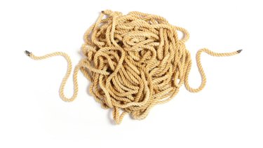 shutterstock_253467748