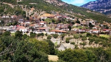 dafnoula1