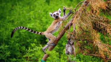 shutterstock_1584225697