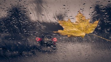 shutterstock_332070041