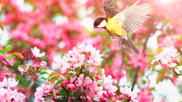 shutterstock_1060726778
