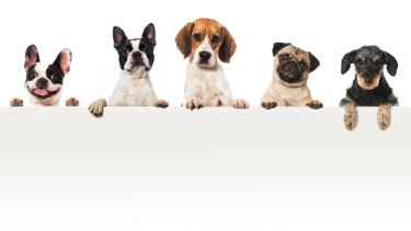 shutterstock_252738868