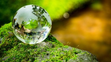 shutterstock_715130584
