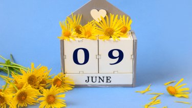 shutterstock_1977040952