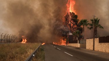 fires_neo2