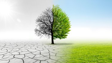 shutterstock_1362111506