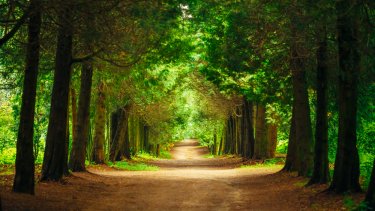 shutterstock_254322253