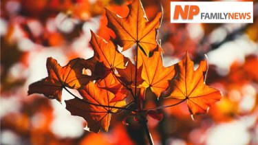 np-family-news