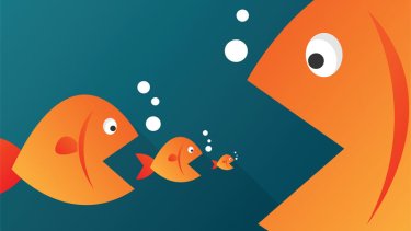 fisi