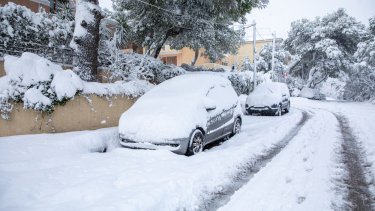 shutterstock_1919864612