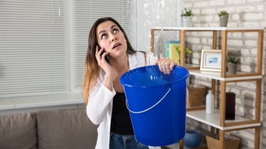 shutterstock_686338402