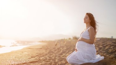 shutterstock_595687733