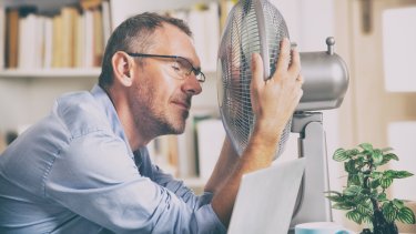 shutterstock_1135416335