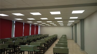 vianex