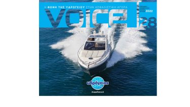 voice28