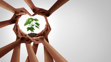 shutterstock_1538844608