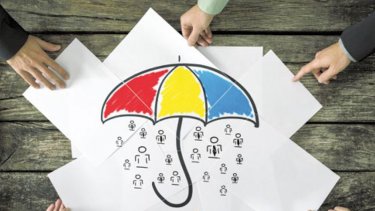 umbrella