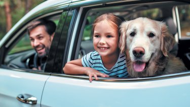 autosafe_main_photo_leaflet