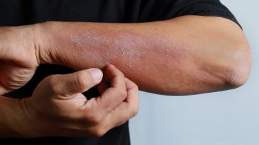 shutterstock_1066262183
