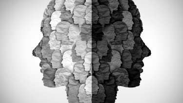 shutterstock_1940933686