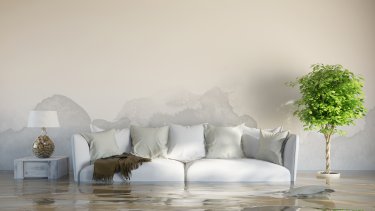 shutterstock_221766814