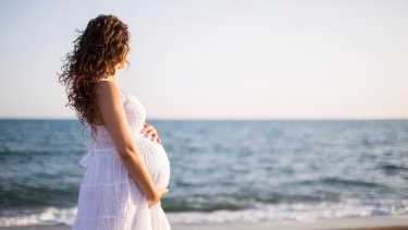 shutterstock_595687712